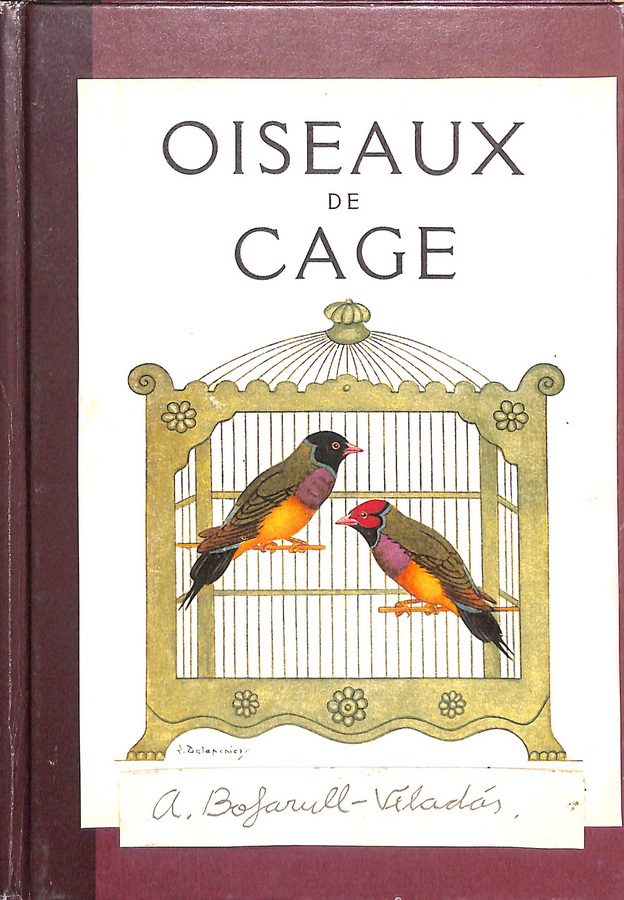 OISEAUX DE CAGE