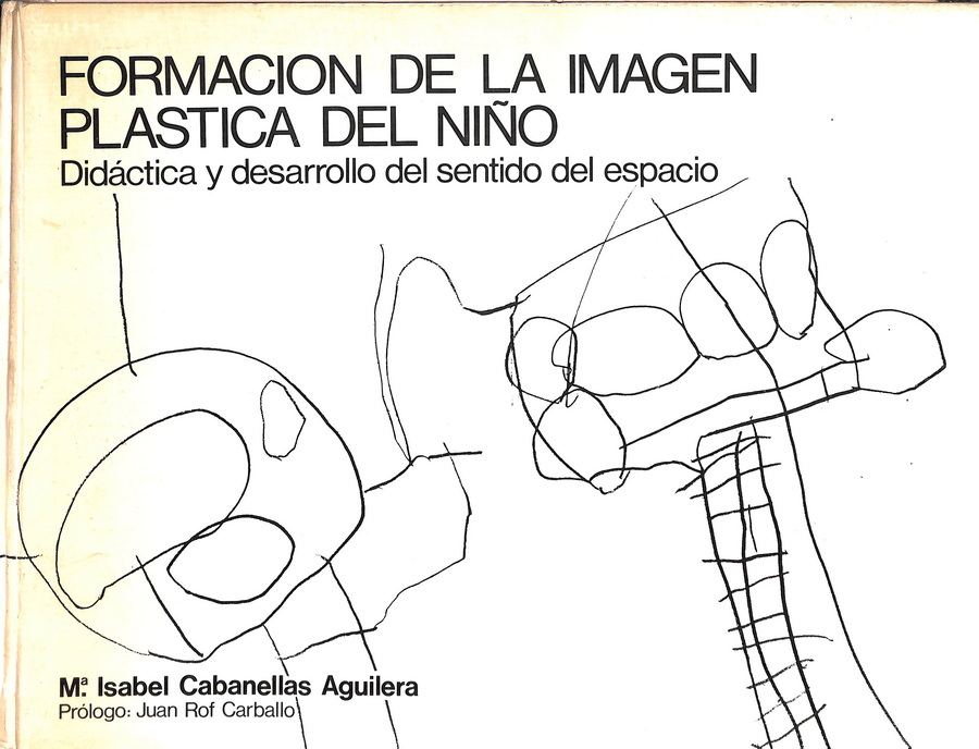 FORMACIÓN DE LA IMAGEN PLÁSTICA DEL NIÑO